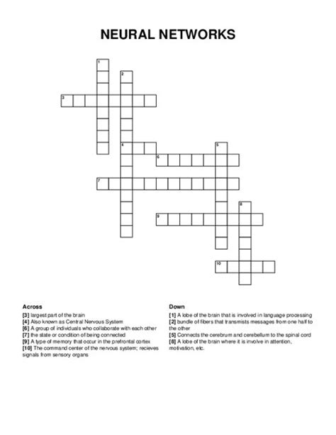 neural network crossword clue